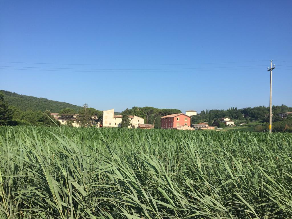 Villa Rosso Porpora Colle Umberto  Exterior foto